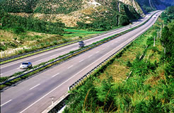 �غ�����